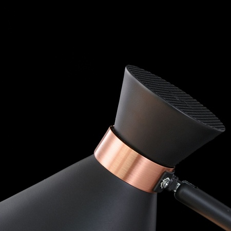 Настольный светильник Freya Izzy FR4273-TL-01-B - фото