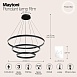 Подвесной светильник Maytoni Rim MOD058PL-L100B4K - фото