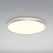 Потолочный светильник Maytoni MOD426CL-L74WK - фото