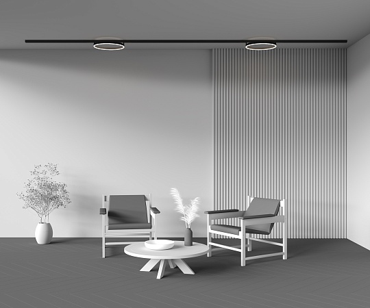 Трековый светильник Technical TR227-2-24W4K-B - фото