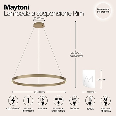 Подвесной светильник Maytoni Rim MOD058PL-L42BS3K - фото