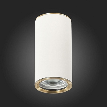 Светильник потолочный Белый GU10 1*50W D54xH105 220V Без ламп ST111.537.01 - фото