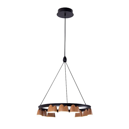 Подвесная люстра Favourite 4266-9P - фото