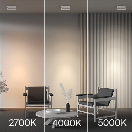 Трековый светильник Technical TR223-1-12WCCT-W-W - фото