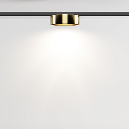 Трековый светильник Technical Zon TR189-1-12W4K-BBS - фото