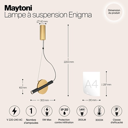 Подвесной светильник Maytoni Enigma MOD150PL-L5BS3K - фото