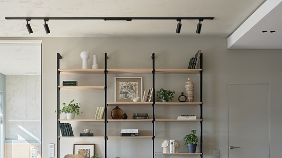 Трековый светильник Technical BASIS TR000-1-12W3K-B - фото