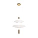 10244/B Brass Подвесной светильник LOFT IT Skylar - фото