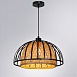 Подвесной светильник Arte Lamp WOODSTOCK A7071SP-1BK - фото
