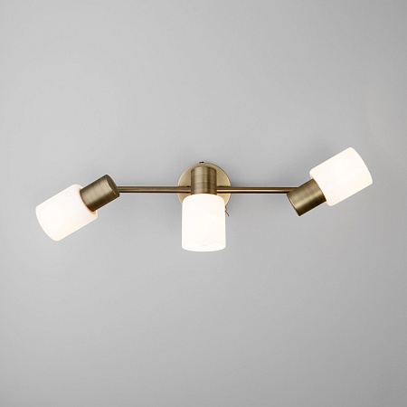 Настенный светильник Eurosvet 20089/3 бронза - фото