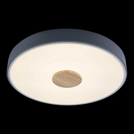 10003/24 Grey Потолочный светильник LOFT IT Axel - фото