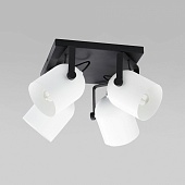 Потолочный светильник TK Lighting 3493