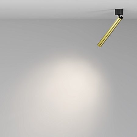 Потолочный светильник Technical Focus T C141CL-L300-6W4K-BBS - фото