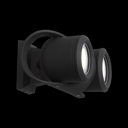 Светильник уличный настенный ST-Luce Черный/Черный, Прозрачный G5,3 2*3W SL093.401.02 - фото