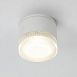 Уличный потолочный светильник Arte Lamp PIAUTOS A1926PF-1WH - фото