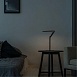 Декоративная настольная лампа Divinare 3234/06 TL-1 - фото