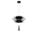 10141B/400 Black Подвесной светильник LOFT IT Star - фото