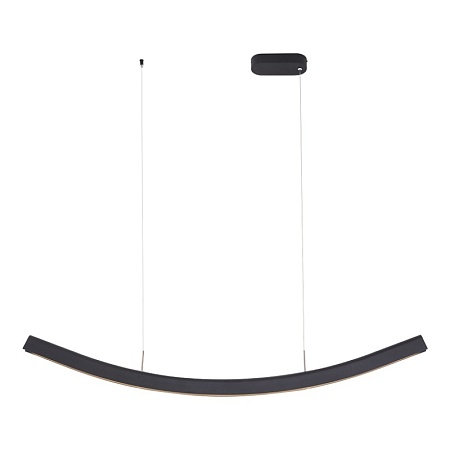 Светильник подвесной ST-Luce Черный/Черный LED 1*20W 4000K SL6232.403.01 - фото