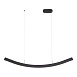 Светильник подвесной ST-Luce Черный/Черный LED 1*20W 4000K SL6232.403.01 - фото