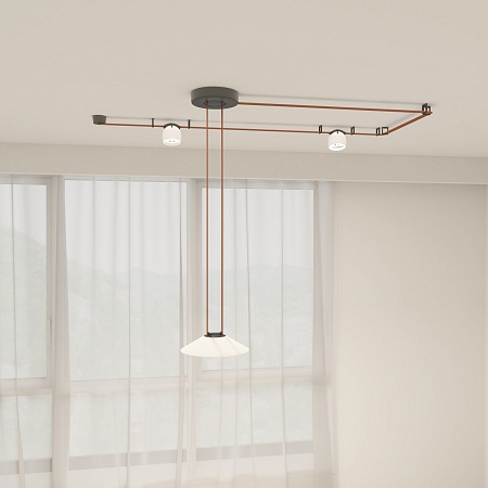 Светильник на шине Denkirs BELTY SPOT DK5541-WH+BK - фото