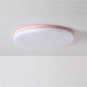 Потолочный Светильник Disc Half D38 Pink Imperiumloft 193126-26