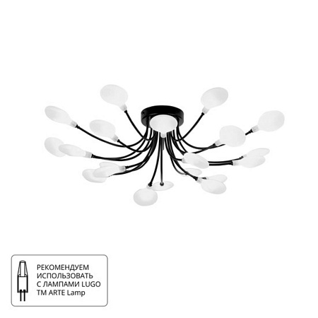 Потолочная люстра Arte lamp GUIMET A7423PL-20BK - фото