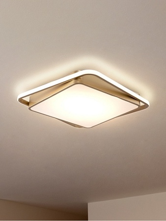 Потолочный светильник Freya Yaku FR10026CL-L93G - фото