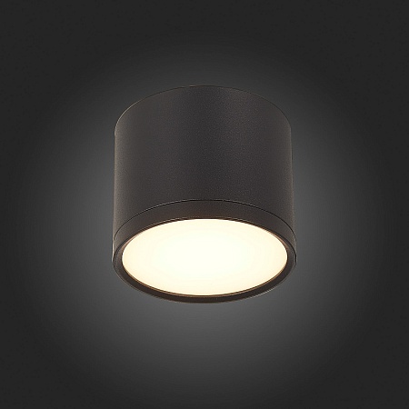 Светильник потолочный Черный LED 1*9W 3000K 702Lm Ra>90 120° IP20 D88xH75 170-240V ST113.432.09 - фото