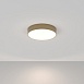 Потолочный светильник Technical Zon C032CL-L43MG4K - фото