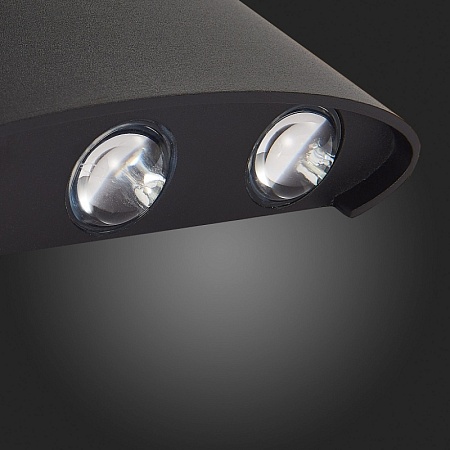 Светильник уличный настенный ST-Luce Черный кварцевый LED 6*1W 4000K SL089.401.06 - фото