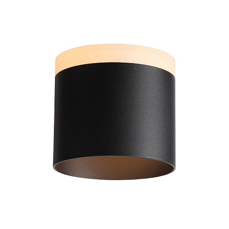 Светильник потолочный Черный LED 1*12W 3000K 936Lm Ra>80 120° IP20 D100xH90 170-240V ST102.402.12 - фото