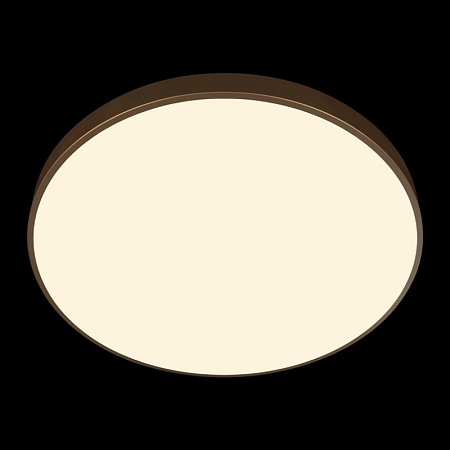 10228/B Потолочный светильник LOFT IT Flims - фото