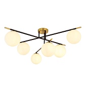 Потолочная люстра ARTE LAMP A2224PL-6BK