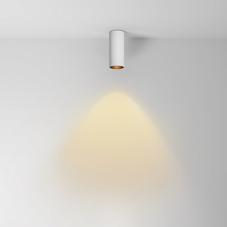 Потолочный светильник Technical FOCUS LED C056CL-L12W2.7K-W-W - фото