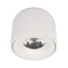10219 White 3000K Потолочный светильник LOFT IT Tictac - фото