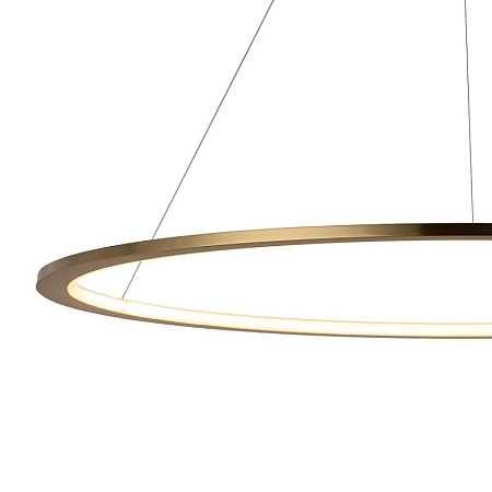 10014L Подвесной светильник LOFT IT Ring - фото