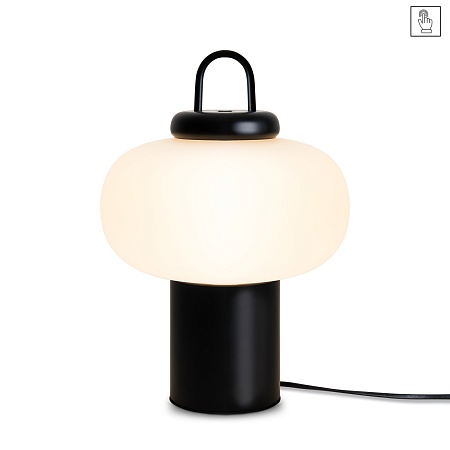 Настольный светильник Freya Take FR6175TL-L10B - фото