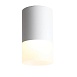 Светильник потолочный Белый LED 1*5W 3000K 390Lm Ra>80 120° D64xH110 170-240V ST100.502.05 - фото