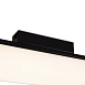 Потолочный светильник Freya FR5625CL-L20B - фото