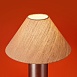 Настольный светильник Freya FR5632TL-01N - фото