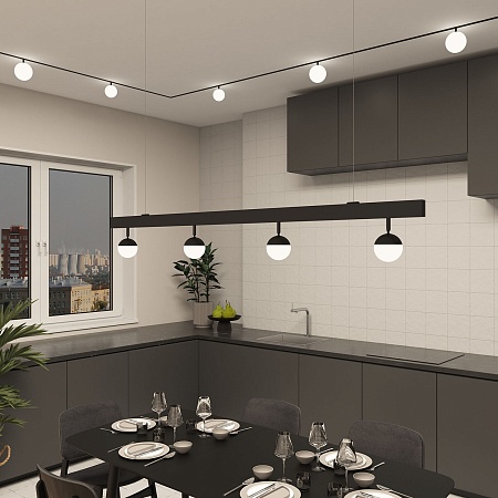 Светильник на шине Denkirs SMART MOON DK8051-BK - фото