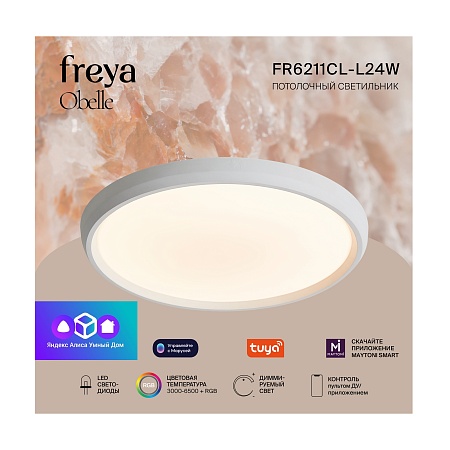 Потолочный светильник Freya FR6211CL-L24W - фото