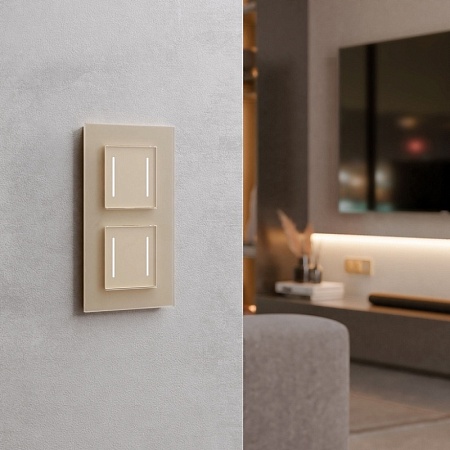 Умный сенсорный выключатель двухклавишный (шампань) W4523011 - фото