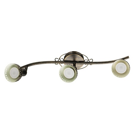 Спот Arte Lamp FOCUS A5219PL-3BR - фото