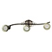 Спот Arte Lamp FOCUS A5219PL-3BR - фото