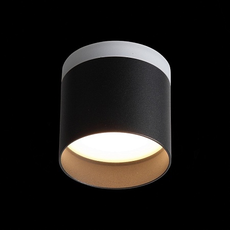 Светильник потолочный Черный LED 1*12W 3000K 936Lm Ra>80 120° IP20 D100xH90 170-240V ST102.402.12 - фото