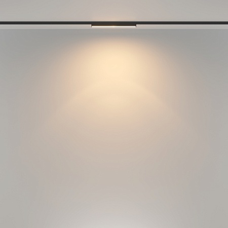 Трековый светильник Technical Basis Rot TR183-1-12WTW-B - фото