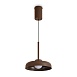 Подвесной светильник Freya FR5602PL-L5BR - фото