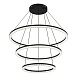 Светильник подвесной ST-Luce черный/прозрачный LED 1*130W 4000K SL1018.403.03 - фото