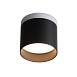 Светильник потолочный Черный LED 1*12W 3000K 936Lm Ra>80 120° IP20 D100xH90 170-240V ST102.402.12 - фото